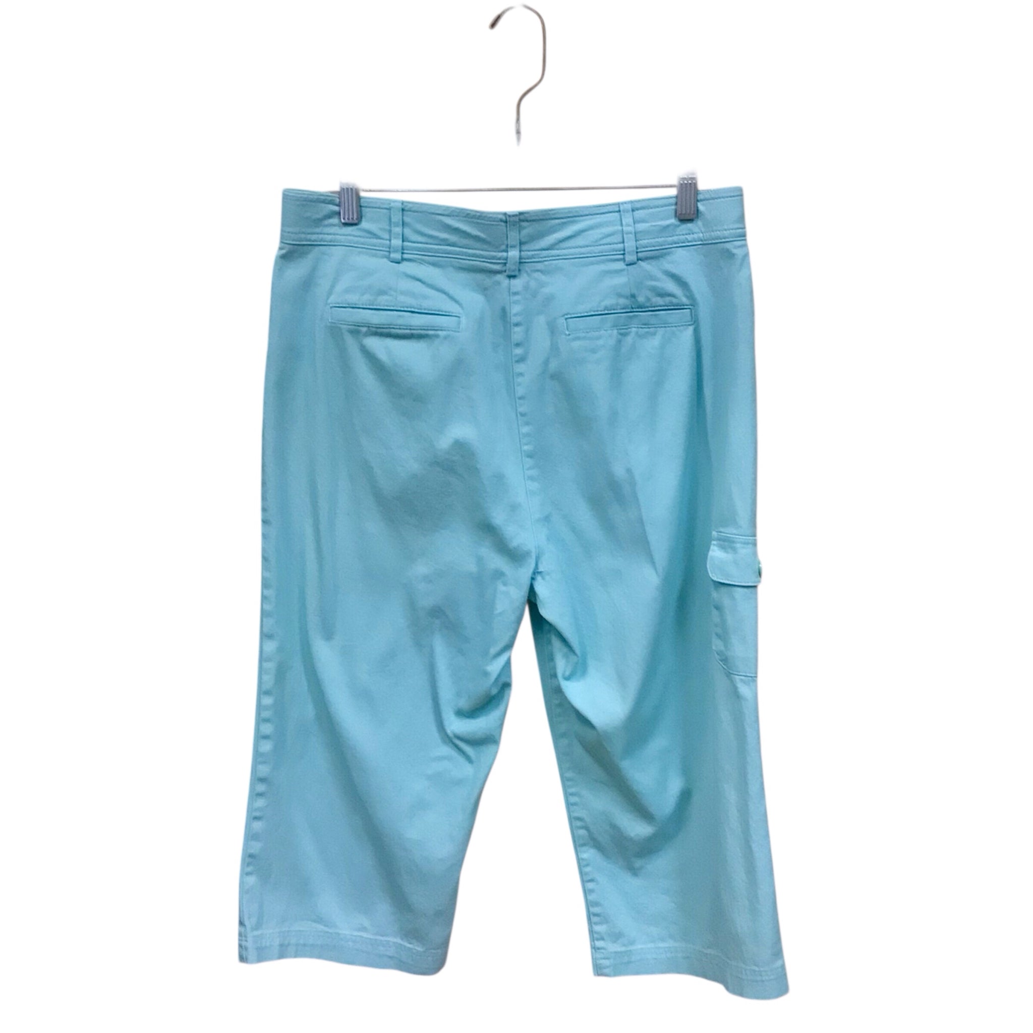 Counterparts Light Blue Capri Pants Size 10