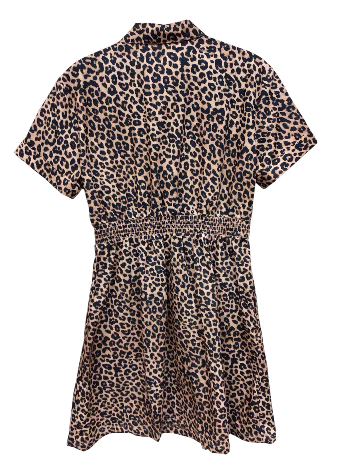 Talbots Short Sleeve Animal Print Dress Size 6P